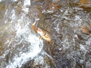 DSCN0889