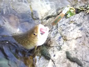 DSCN0898