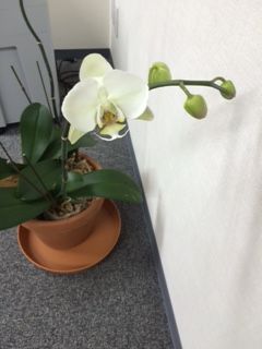 写真19