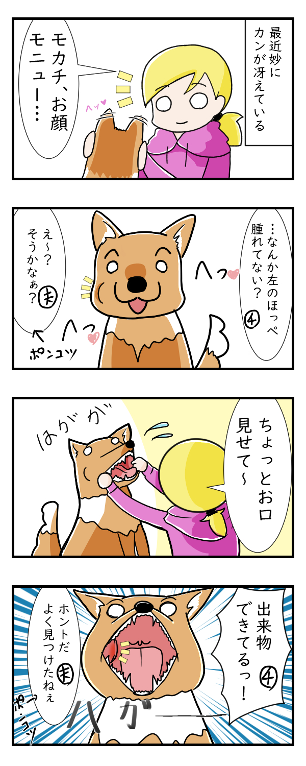 香川1