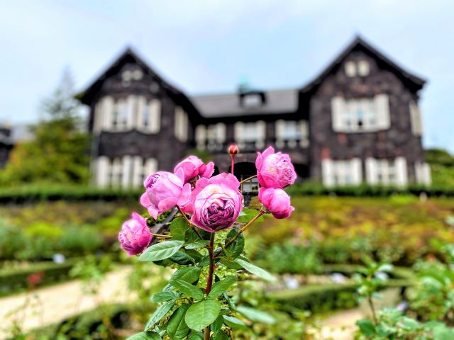 kawatakaさんの旅行記&写真集 : 和と洋が調和する大正の庭「旧古河庭園」