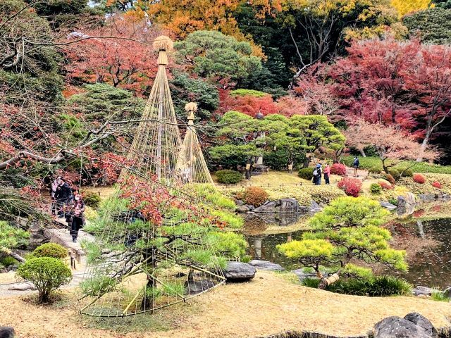 kawatakaさんの旅行記&写真集 : 和と洋が調和する大正の庭「旧古河庭園」