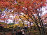 常寂光寺2