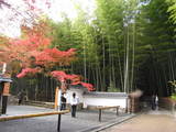 天竜寺1