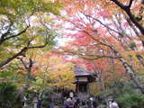 常寂光寺1