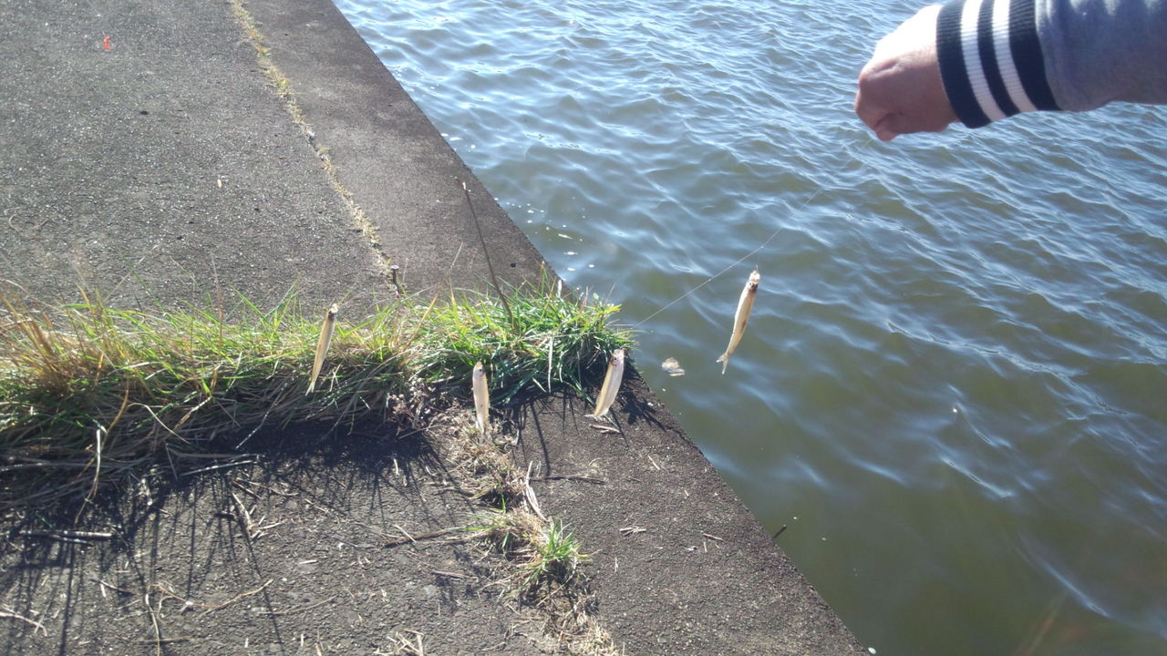 わかさぎ釣りのやり方 河津とおるの 風よ吹け 鹿嶋市議会裏話