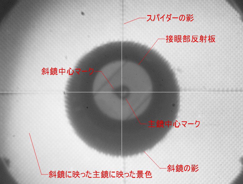 イメージ 6