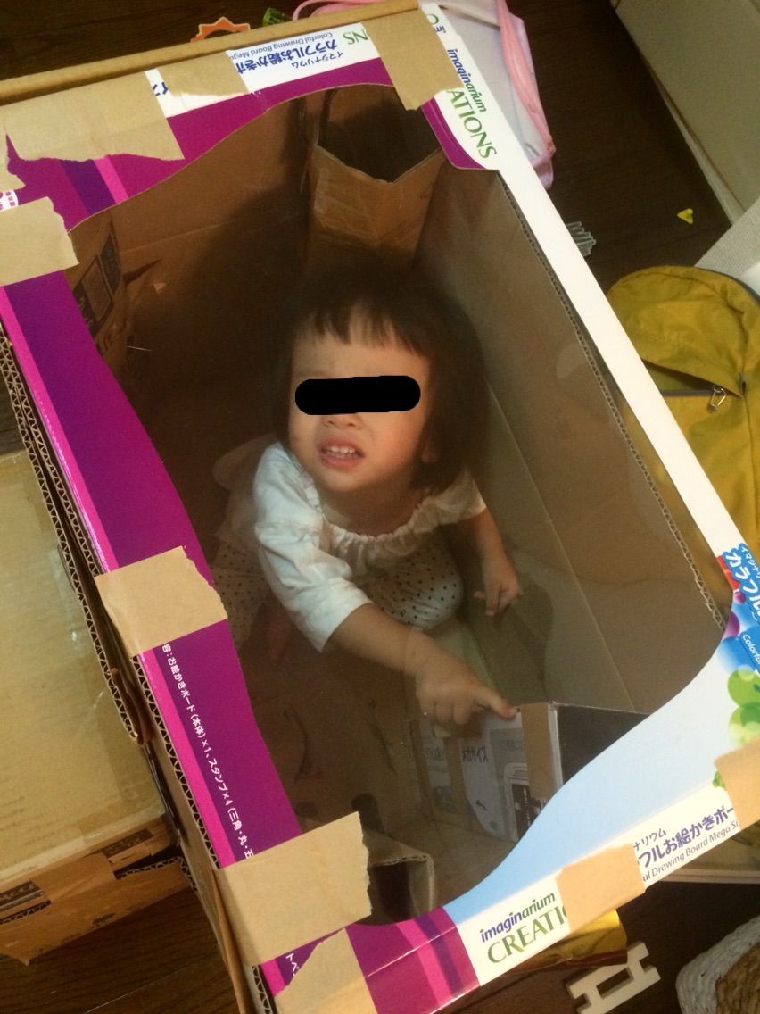 雨の日、ダンボールで小屋を作る。 : 稀人ハンター・川内イオのフル 