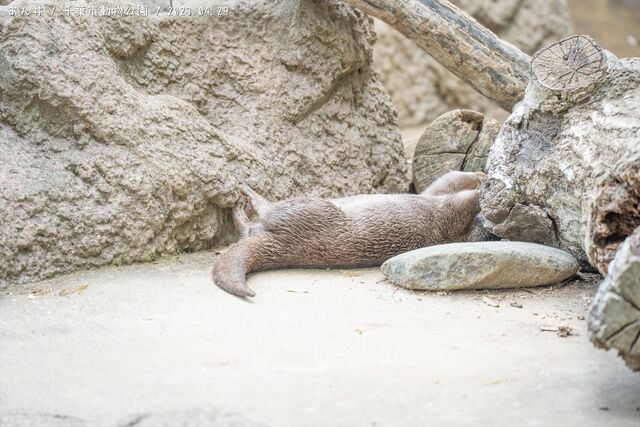自然の驚異: ハラパン州立公園を発見する