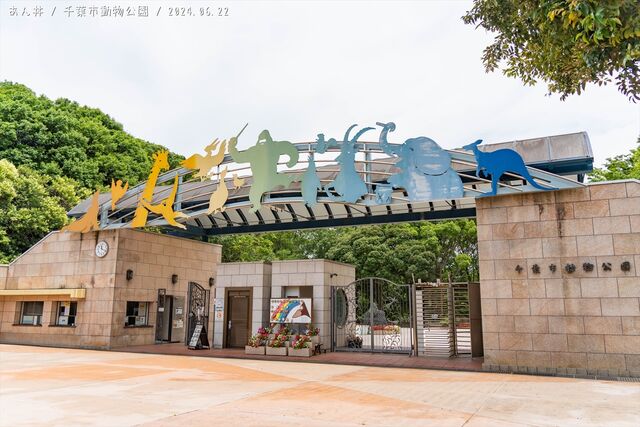 Maravilhas naturais: Conheça o Parque Estadual do Jalapão