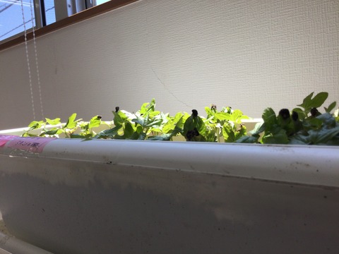 571C7CB7-DF15-45F2-B232-18DCB9E2DD31