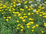 aa3584c1.jpg