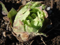P3102751