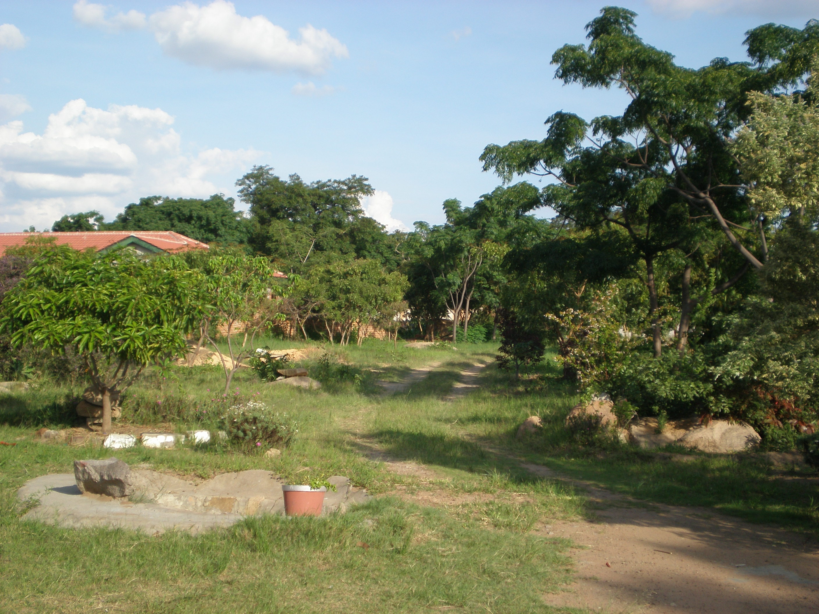 豆 何よりも 学んだ M1カービン銃を持って窓から外を凝視するためにカーテンを開くマルコムx わかる アボート 浴室