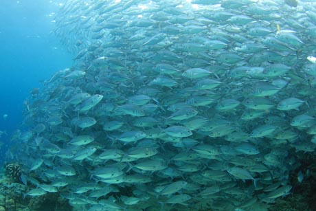 sipadan
