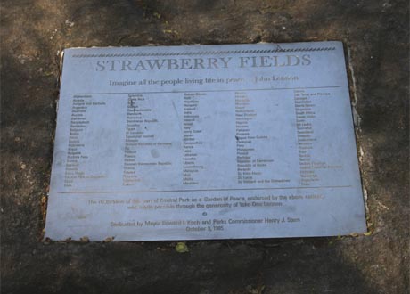 strawberryfields