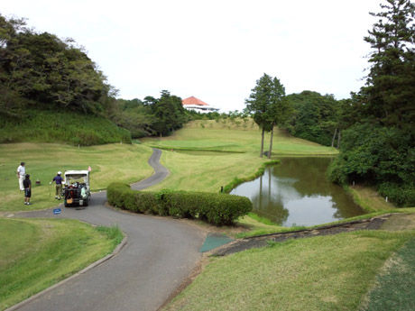 narasino