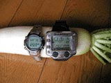 714b8083.jpg