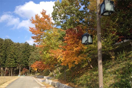kouyo