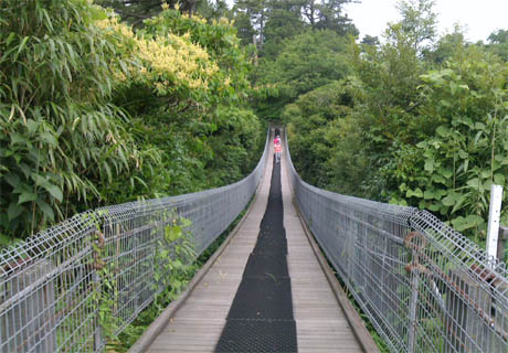 kawana