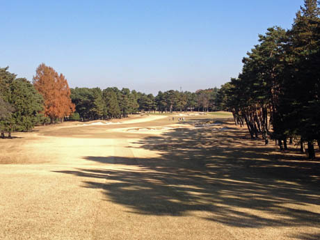 tokyog3