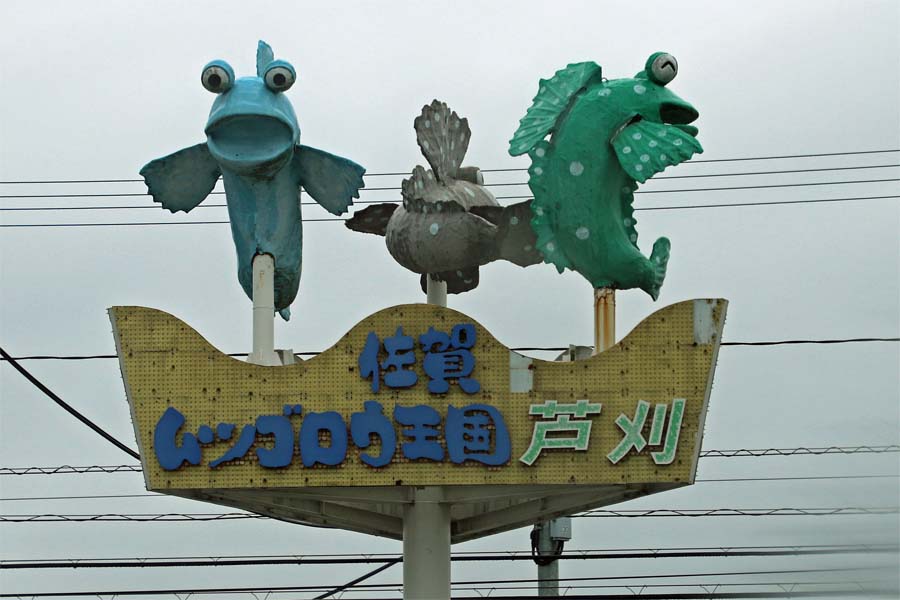 ムツゴロウ タカラガイの独り言 ムツゴロウ タカラガイの独り言