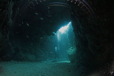 naruhodoCave