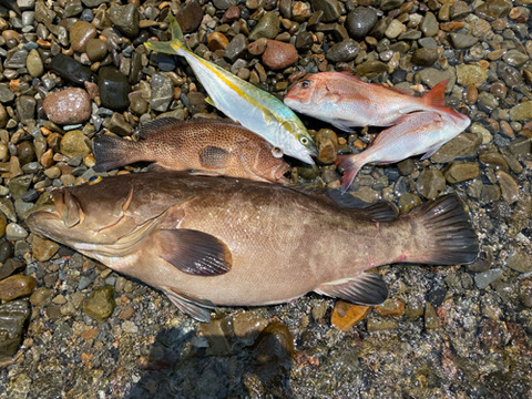 image4