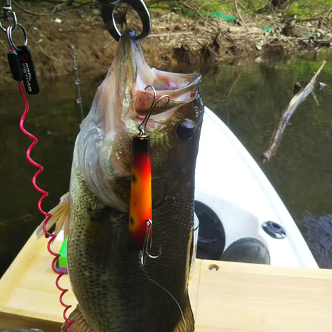 DSC_0650
