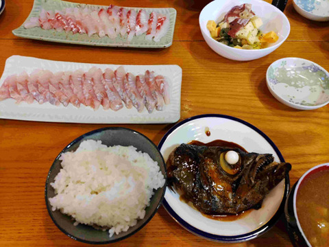 14煮つけ最高、刺身も脂!