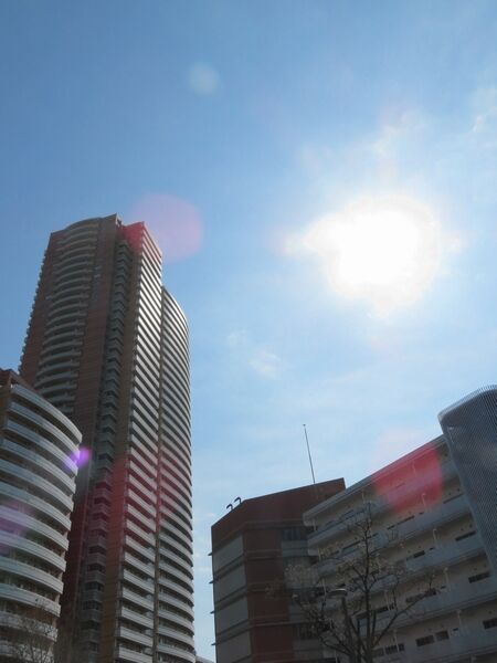 気分転換はやっぱり散歩