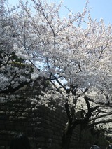 20120408最高裁判所4