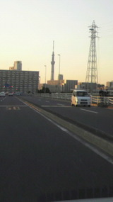2f8028d1.jpg