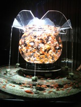 20120826アートアクアリウム金魚展23