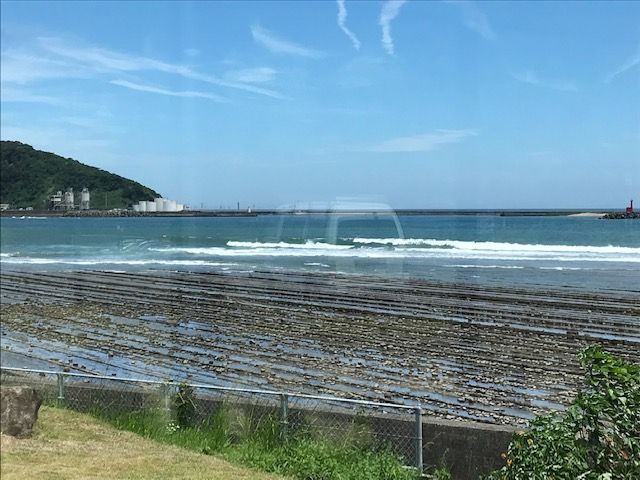 海幸ダイニング4
