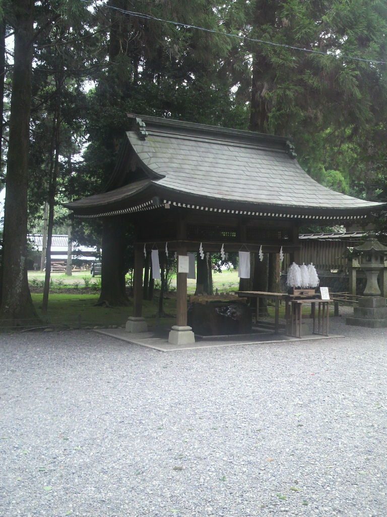 P1000101
