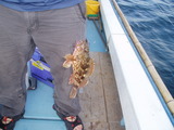 9bc724f5.jpg