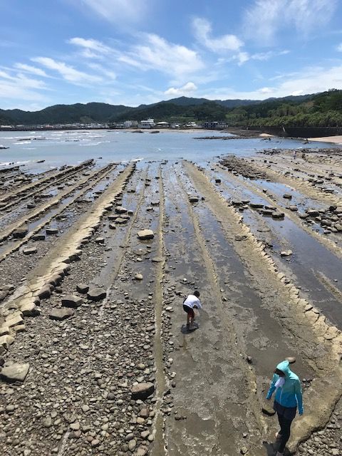 焼酎と九州 鬼の洗濯岩 宮崎県日南海岸 Laundry Board For Demons Livedoor Blog ブログ 焼酎と九州 鬼の洗濯岩 宮崎県日南海岸 Laundry Board For Demons Livedoor Blog ブログ