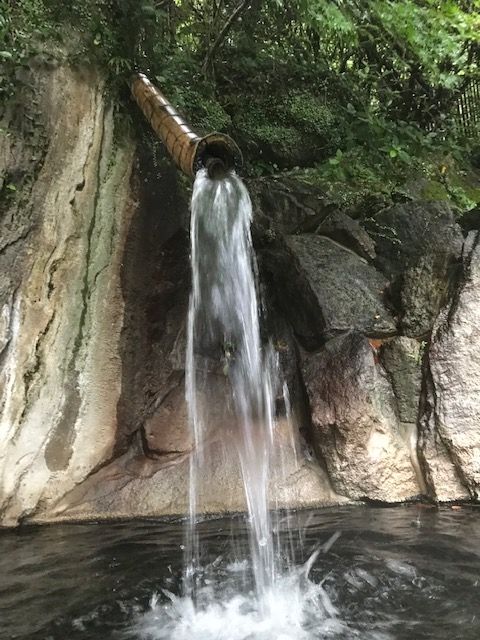 石庭の館20190805-1