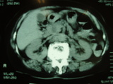 e5ca074c.JPG