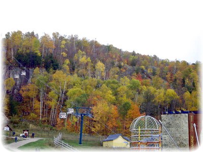 _R0013528.jpg
