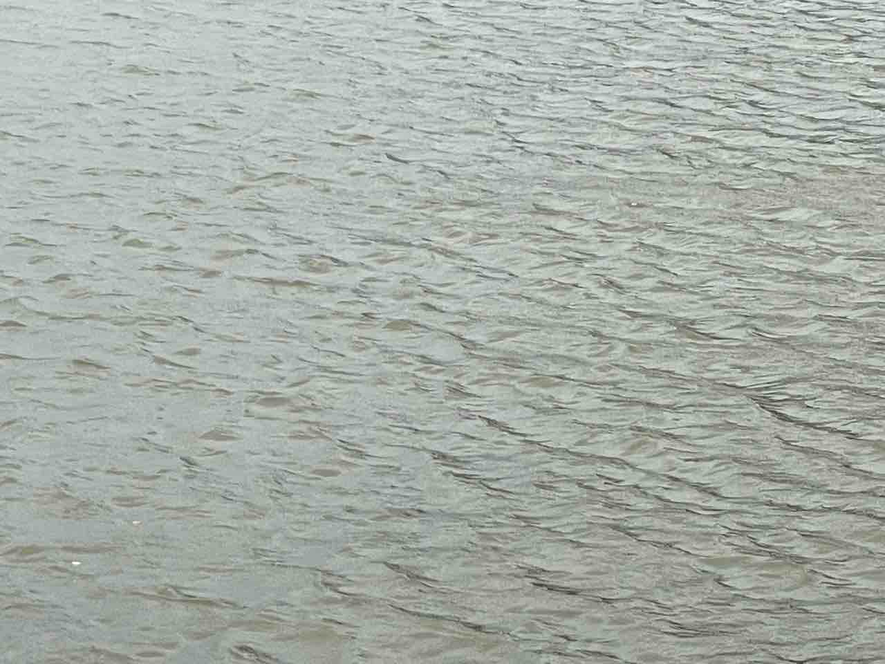 伊豆半島 ヤエン釣り 雨で海が濁った時に釣りができるところ 22 5 14 Kayo Ebineの釣行ブログ 伊豆半島 ヤエン釣り 雨で海が濁った時に釣りができるところ 22 5 14 Kayo Ebineの釣行ブログ