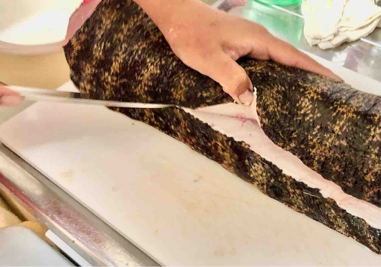 ウツボが美味しいらしいので食べてみた Kayo Ebineの釣行ブログ