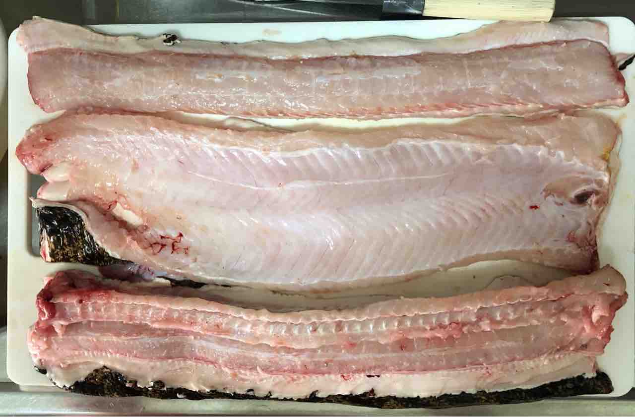 ウツボが美味しいらしいので食べてみた Kayo Ebineの釣行ブログ ウツボが美味しいらしいので食べてみた Kayo Ebineの釣行ブログ