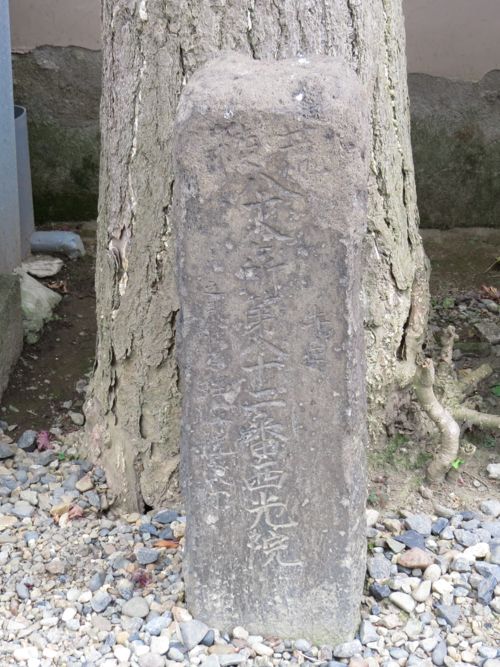 好奇心いっぱいこころ旅【新義真言宗】西光院（東京都足立区）コメント