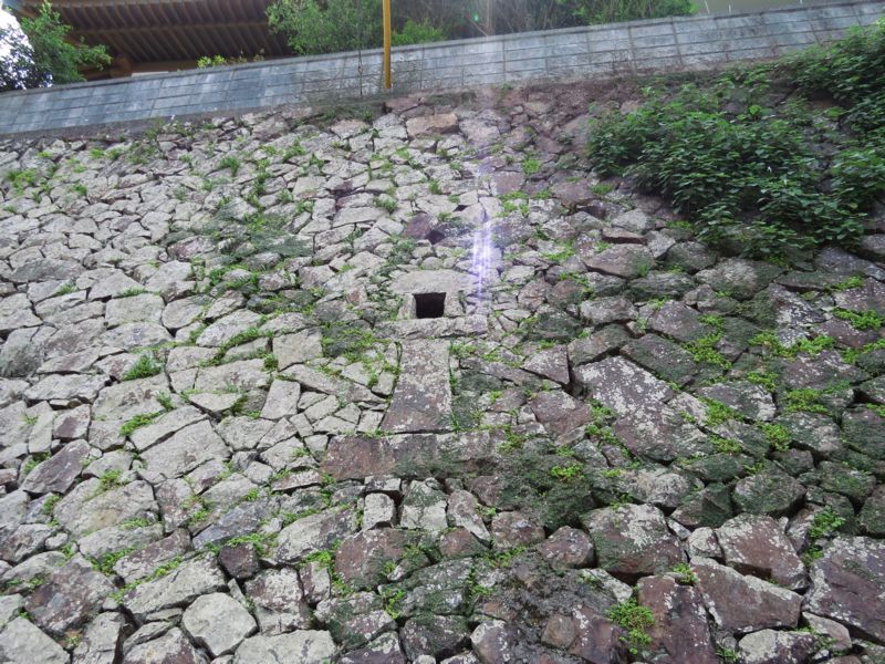 清岳院 愛媛県愛南町 好奇心いっぱいこころ旅