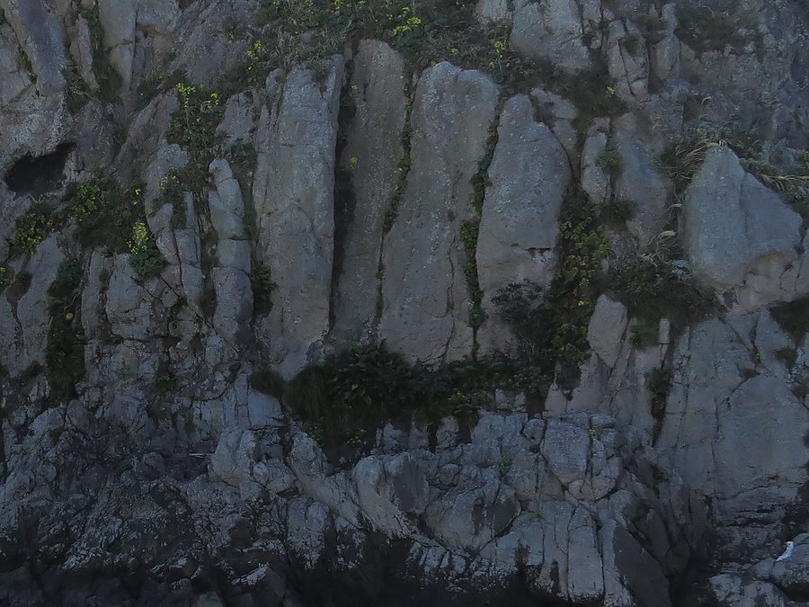 犬岩と義経伝説 銚子市 好奇心いっぱいこころ旅