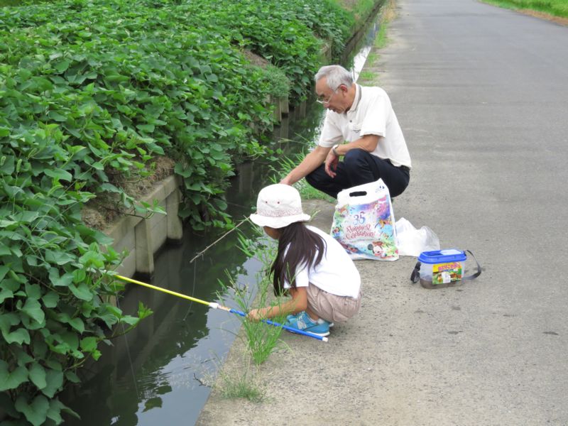 り ちゃんのザリガニ釣り 好奇心いっぱいこころ旅