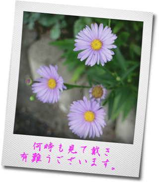 2020 11 25 太田川緑地ggペア大会 Gg太田川花ポット 2020 11 25 太田川緑地ggペア大会 Gg太田川花ポット