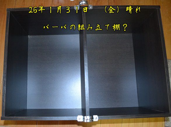 イメージ 8